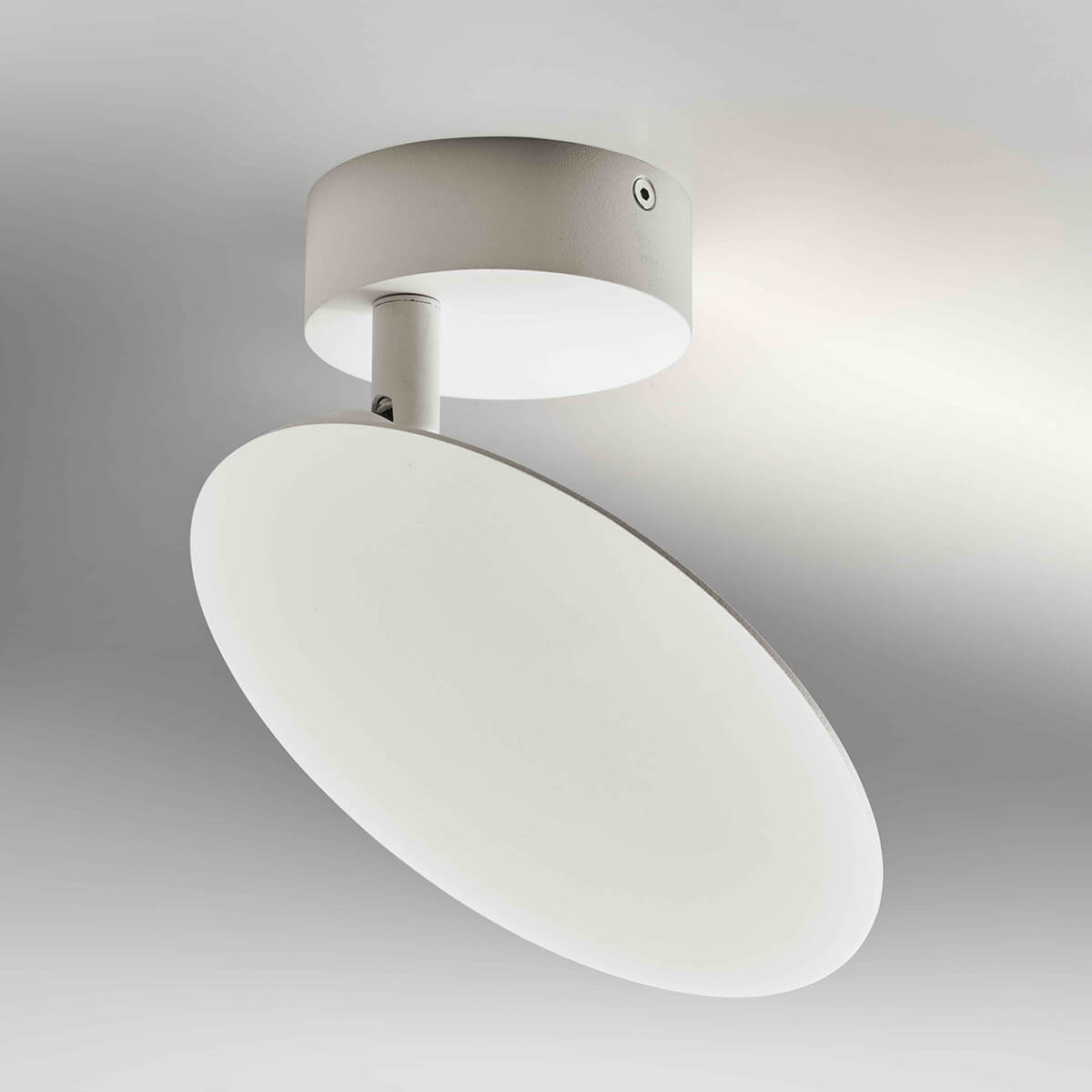 Plate LED Wand- / Deckenleuchte