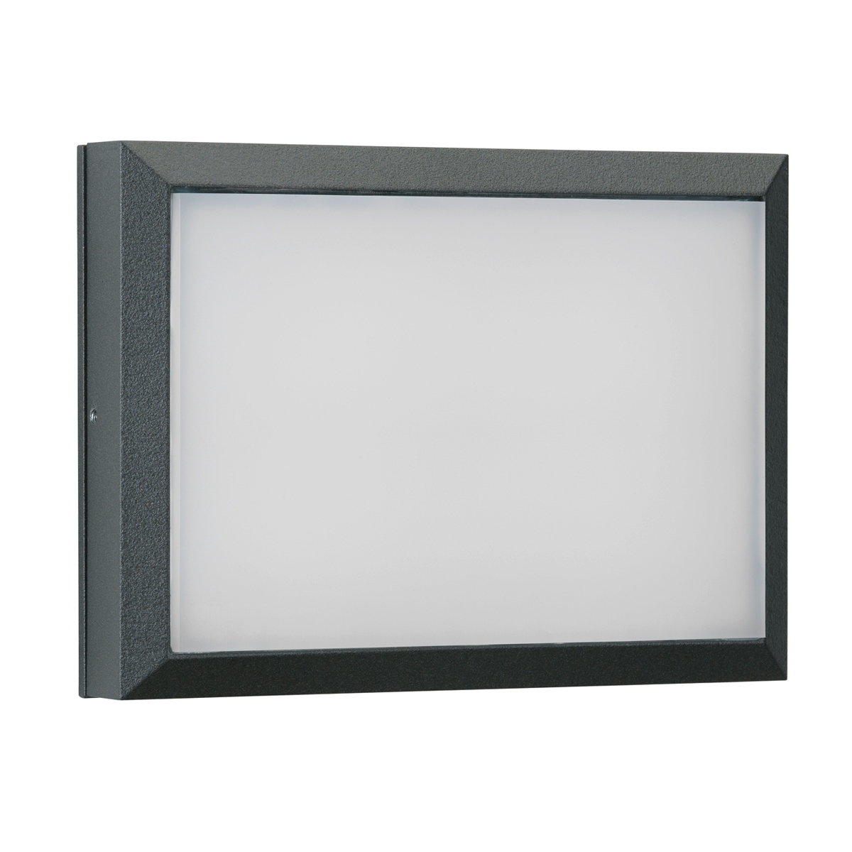 6403 Wand- / Deckenleuchte