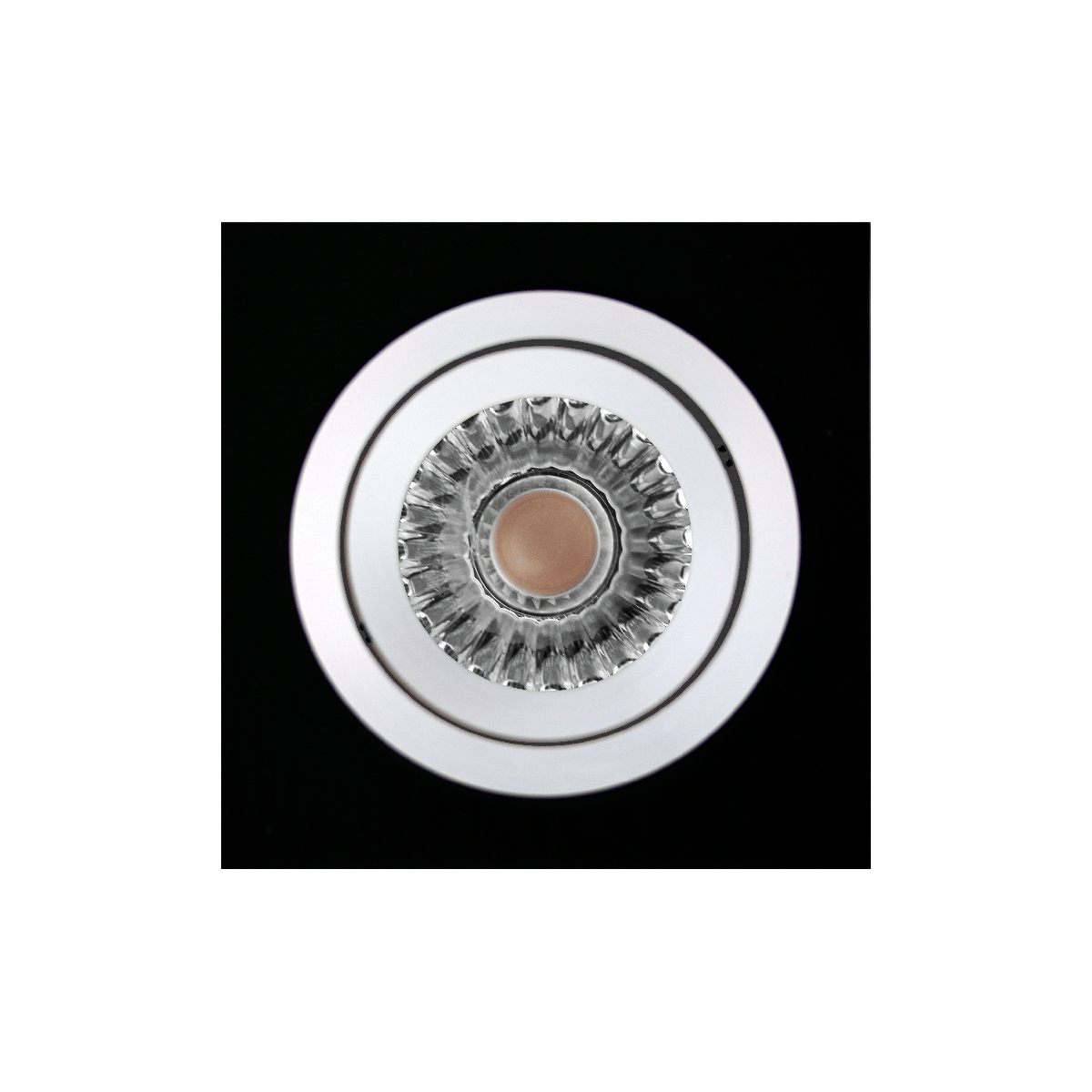 black brushed, inner ring: polished aluminum