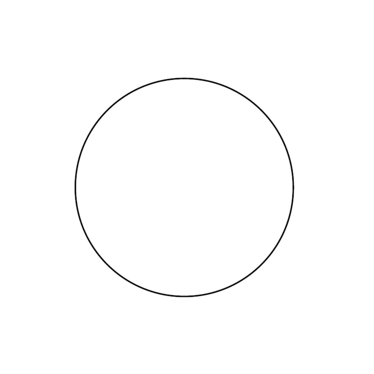 Roxxane Fly CL Pad Wandhalterung