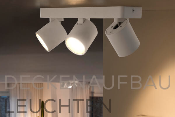 Kategoriebanner Deckenaufbauleuchten