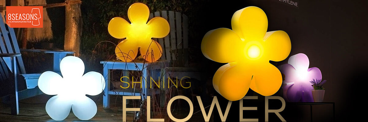 Kategoriebanner Marke 8 seasons design shining flower