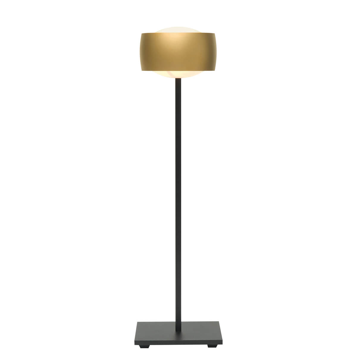 black matt / gold matt