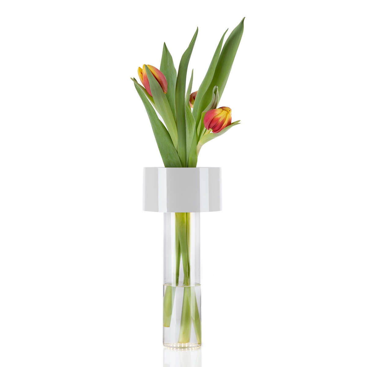 Fleur LED Tavolo Akkuleuchte & Vase