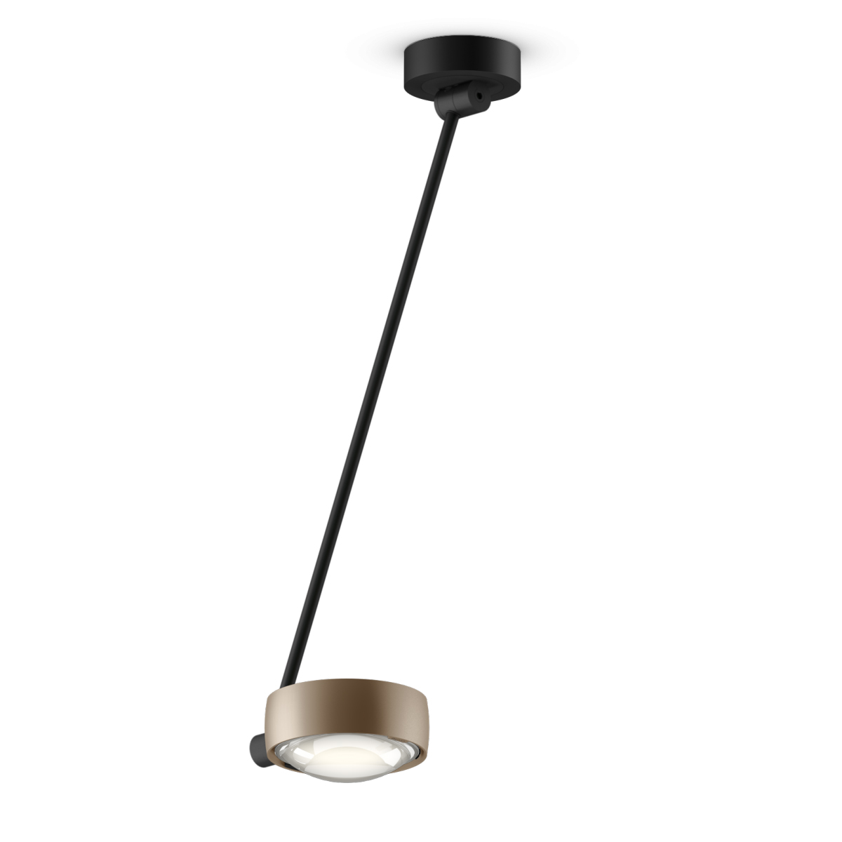 gold matt / black matt