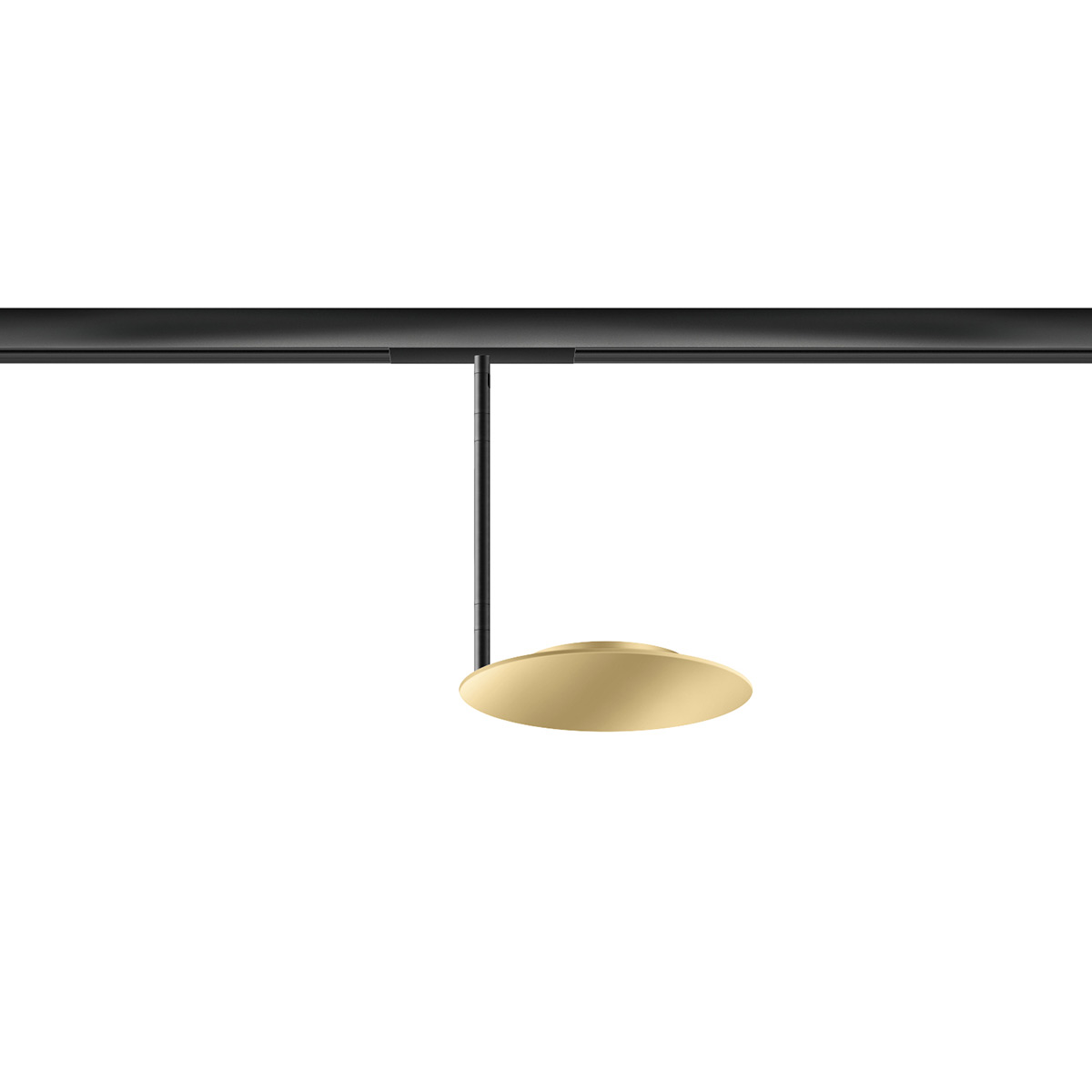 champagner / schwarz