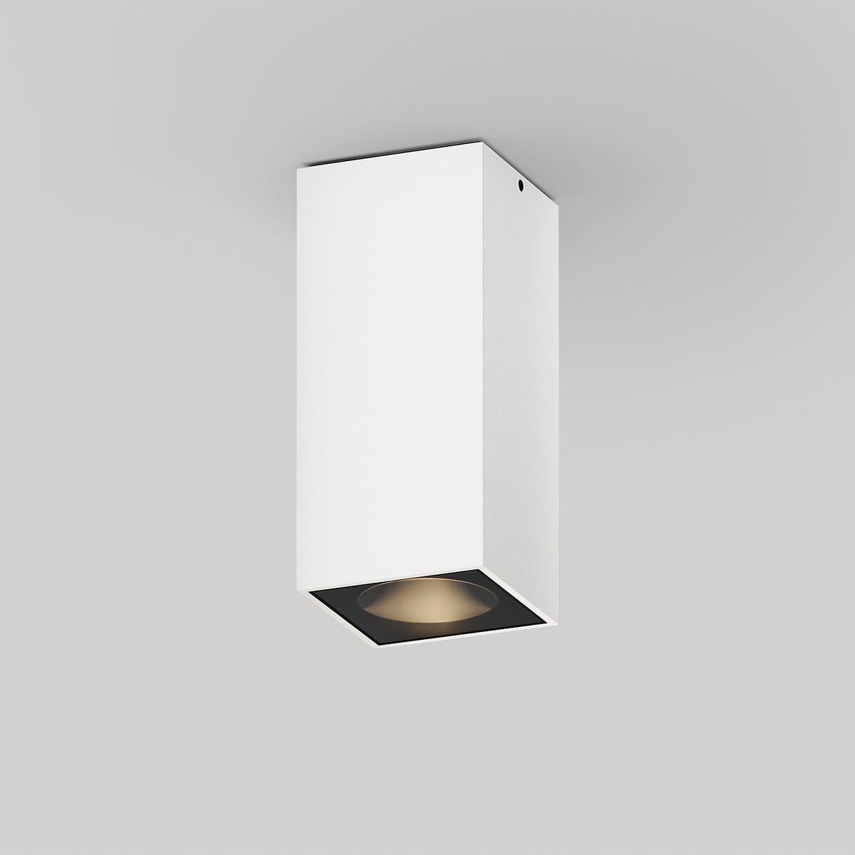 DALI-2 ready, pure white (weiß)