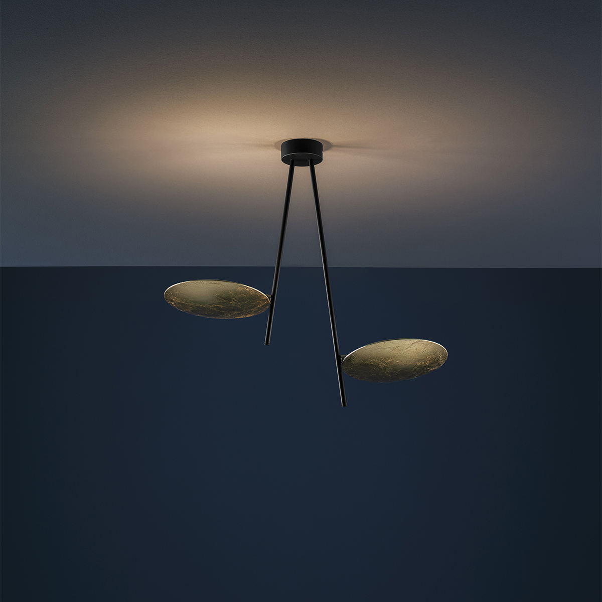 Lederam C2 Deckenleuchte