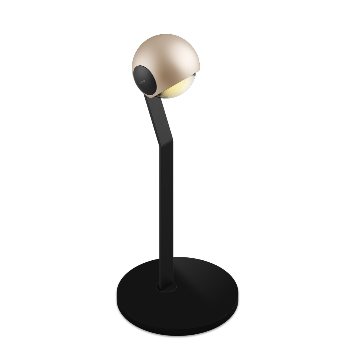 black matt, golden head