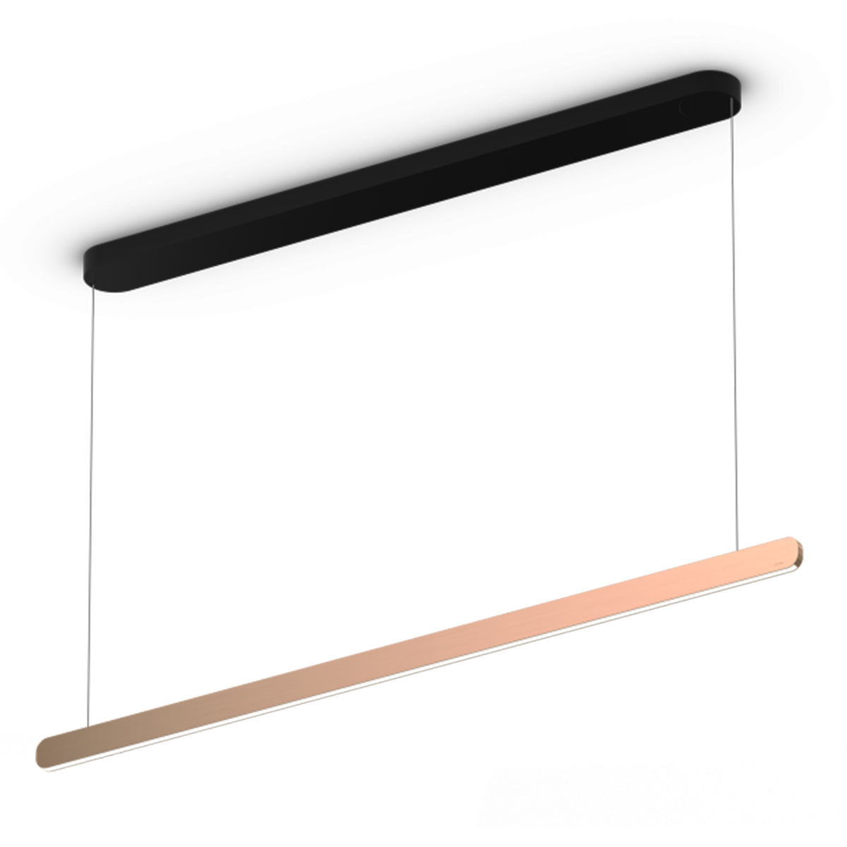 Canopy: black, shade: rose gold