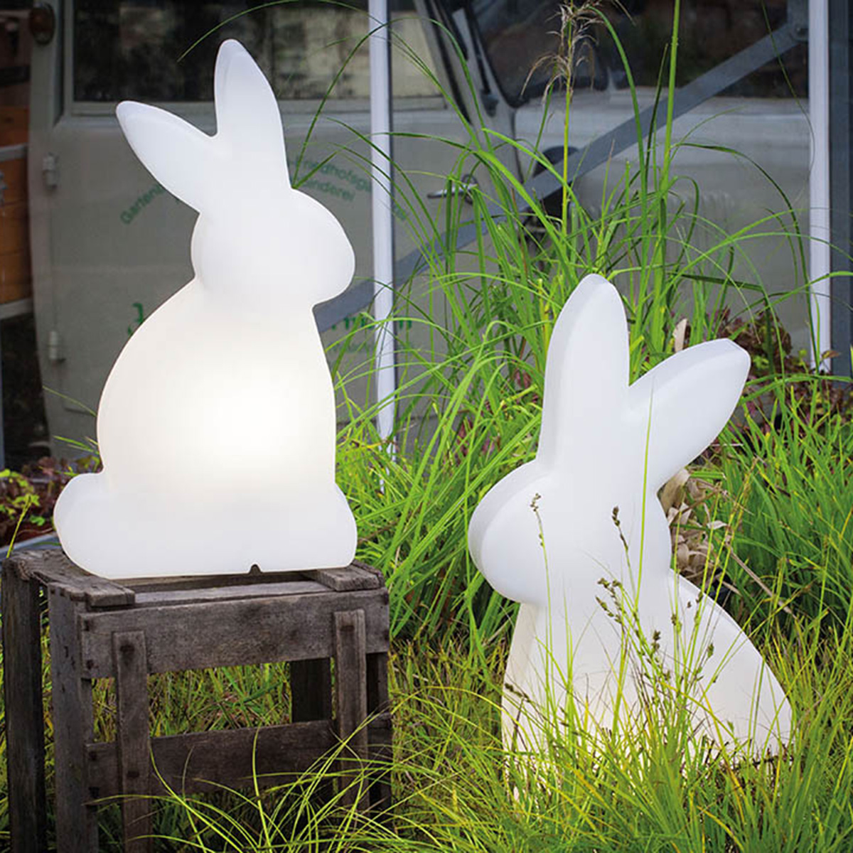 Shining Rabbit LED Solar- / Dekoleuchte