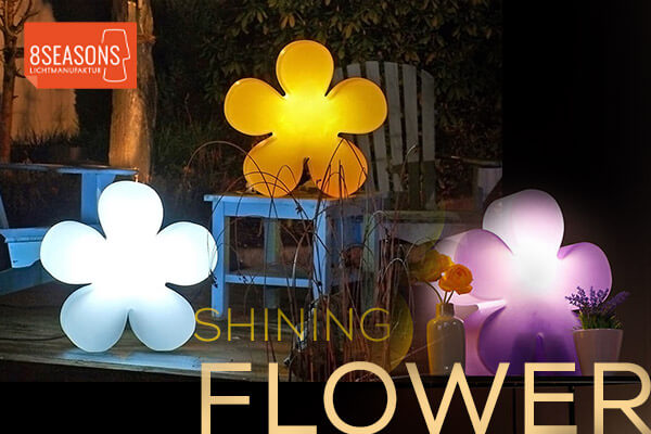 Kategoriebanner Marke 8 sesaons design shining flower