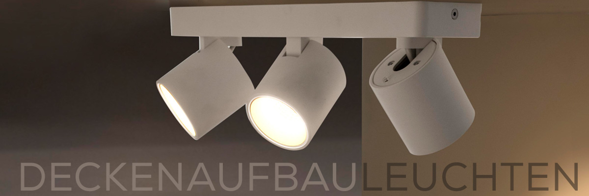 Kategoriebanner Deckenaufbauleuchten