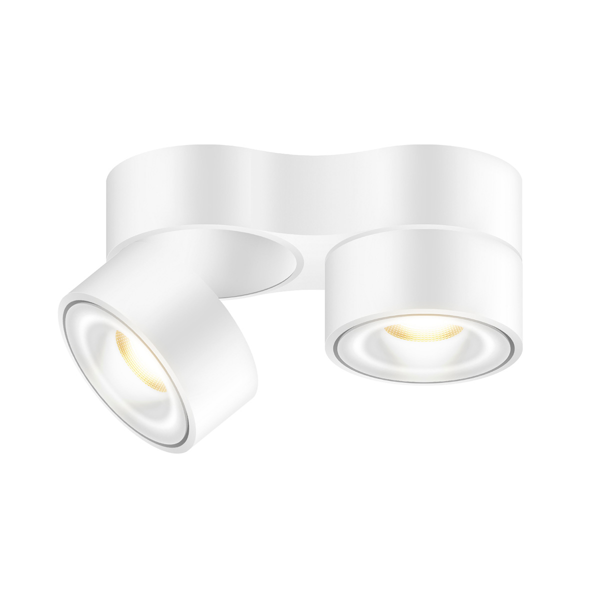 Vito Duo Spot 50° LV C LED Deckenaufbaustrahler