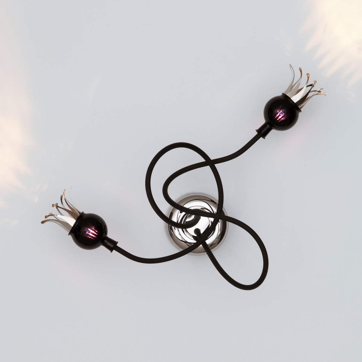 Shades: violet, arms: black