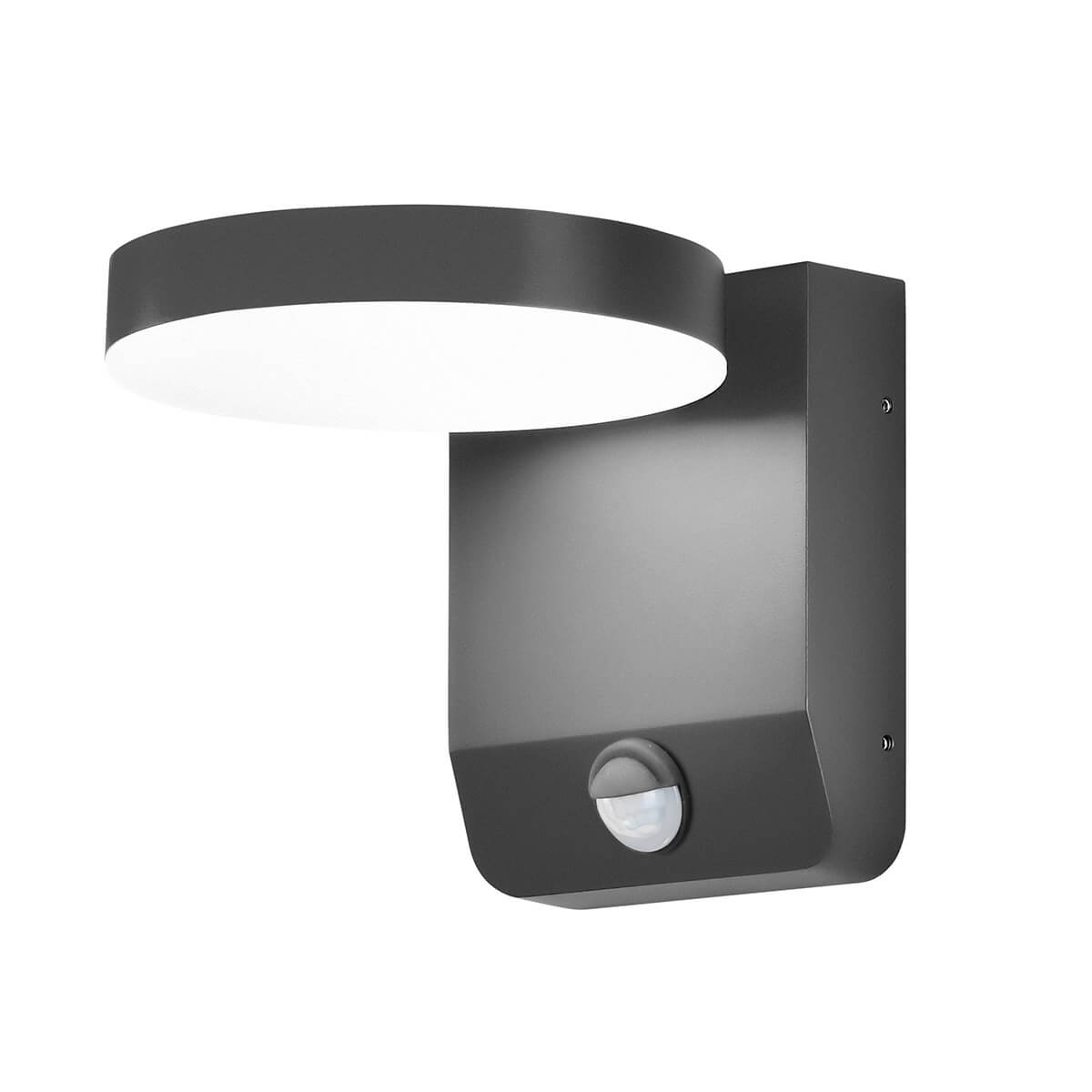 anthrazit, mit Bewegungsmelder