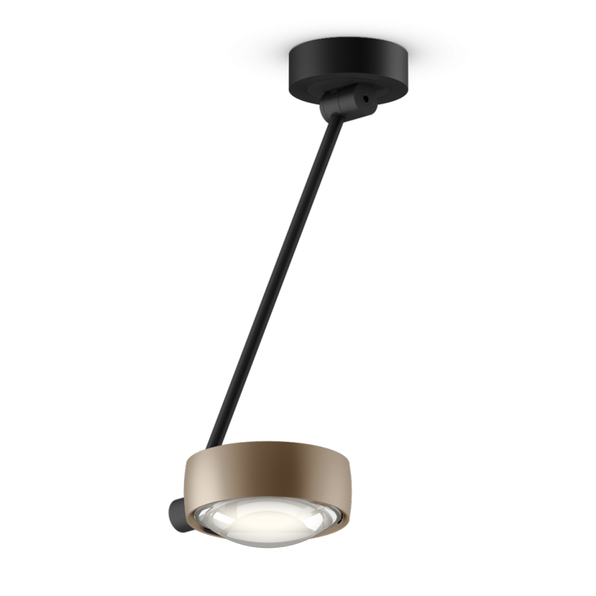 Gold matt / black matt