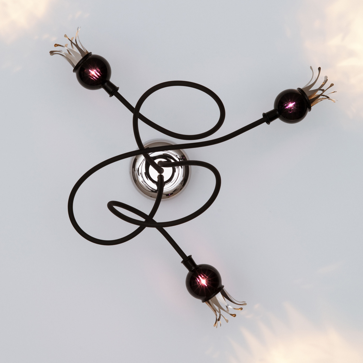 Shades: violet, arms: black