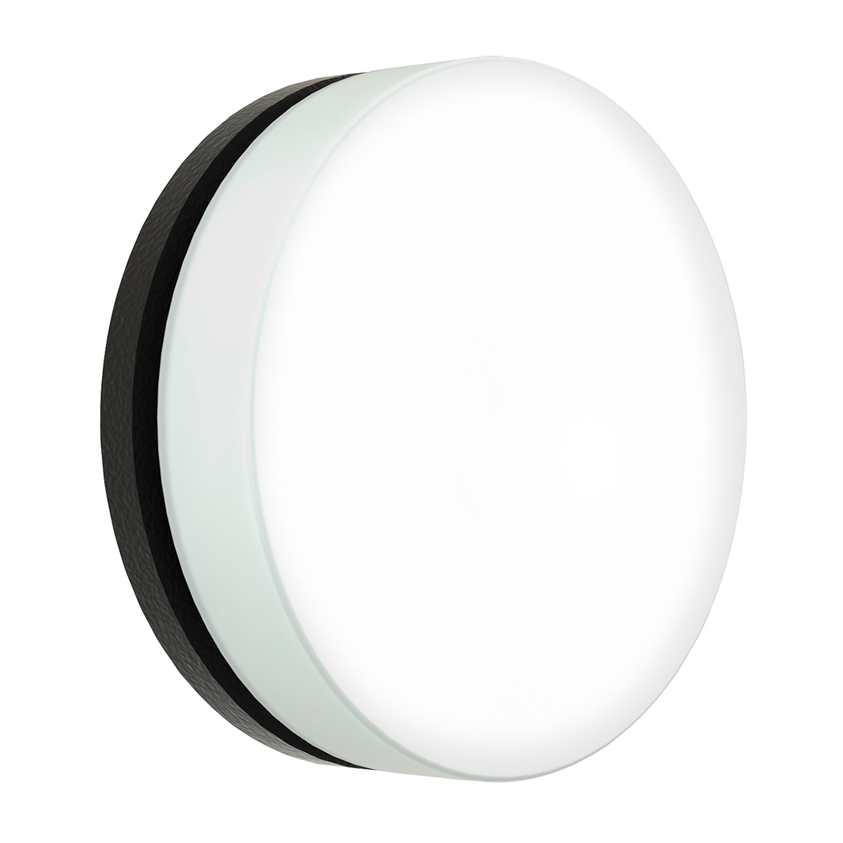 6309 LED Wand- / Deckenleuchte C, Ø: 31 cm