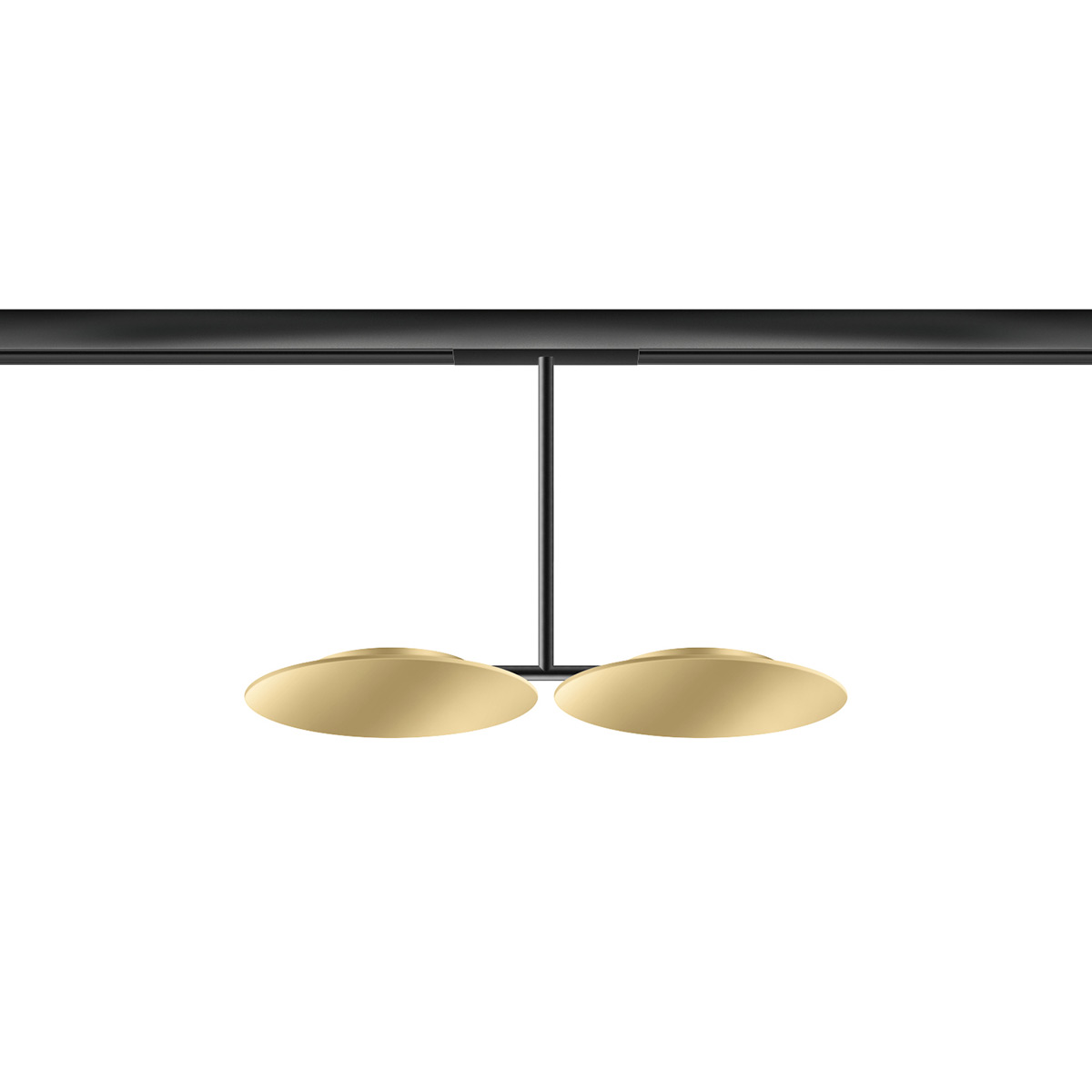 champagner / schwarz