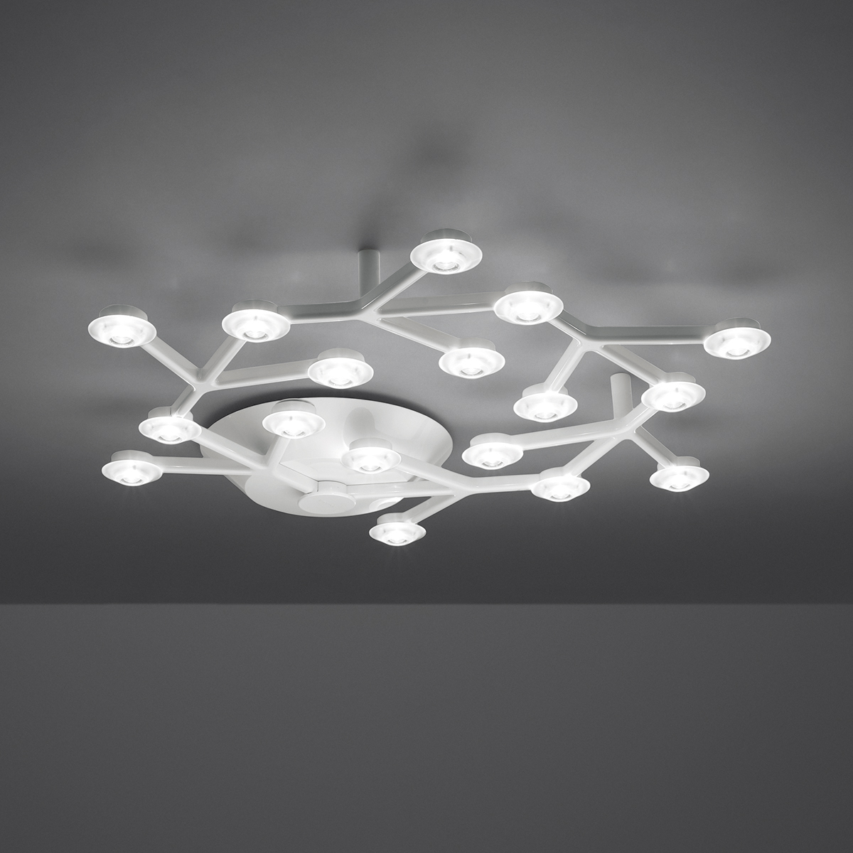 LED Net Circle Soffitto, App-kompatibel