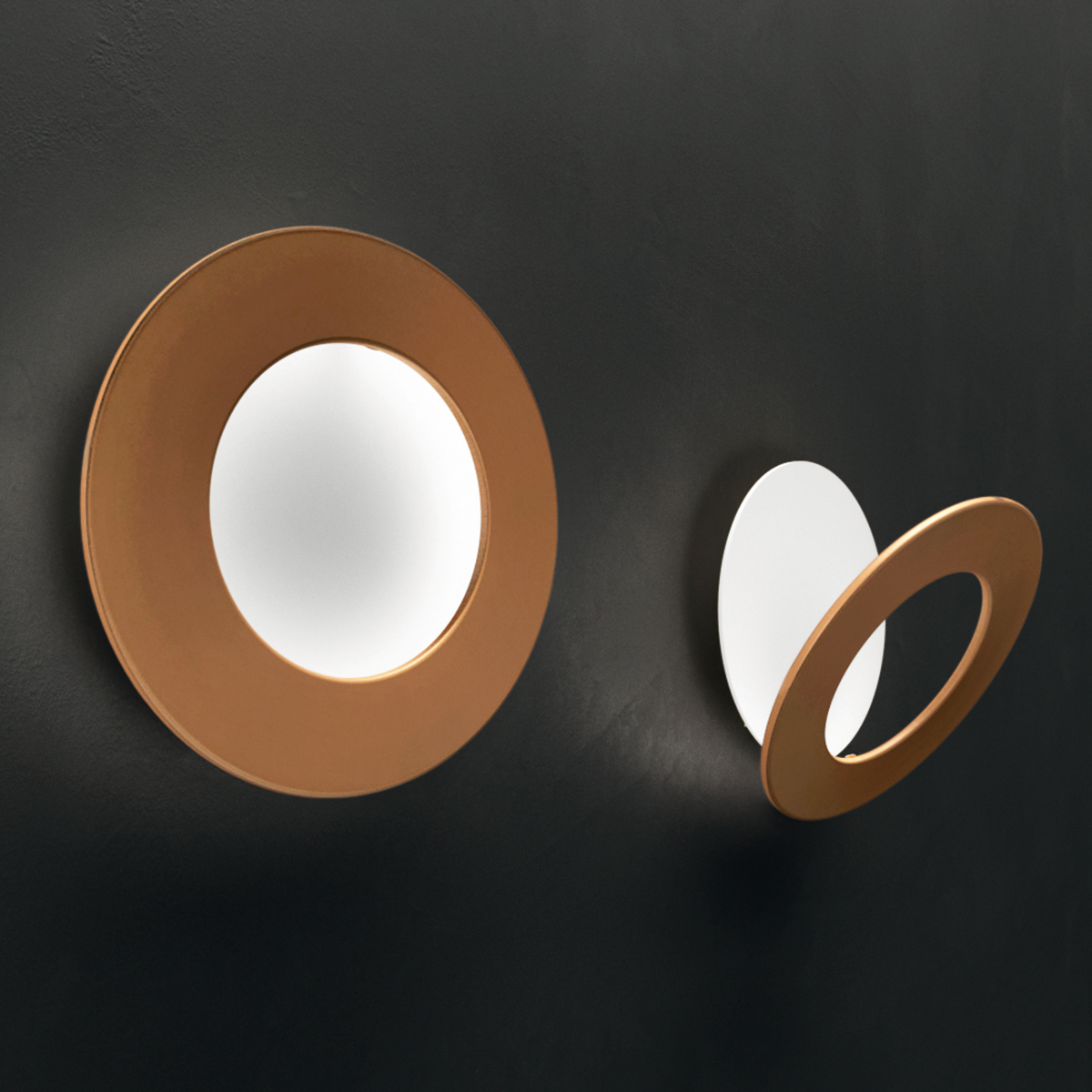 Copper bronze / white