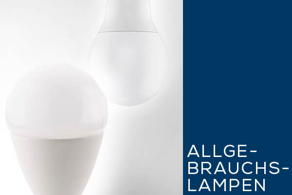 Kategoriebanner Leuchtmittel LED Allgebrauchslampen