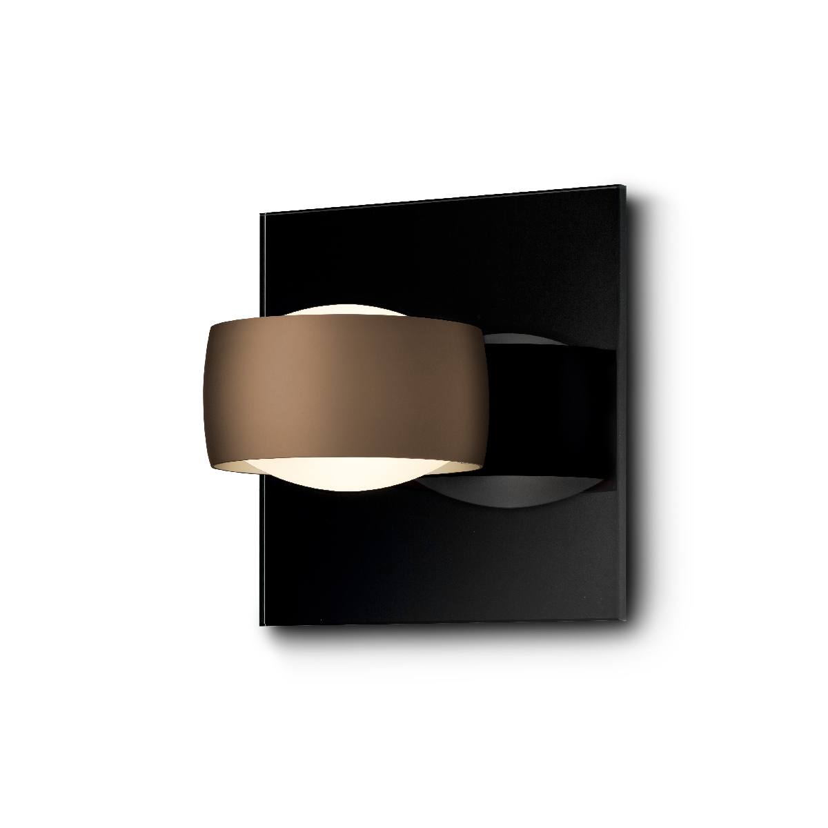 Head: Brazilian brown