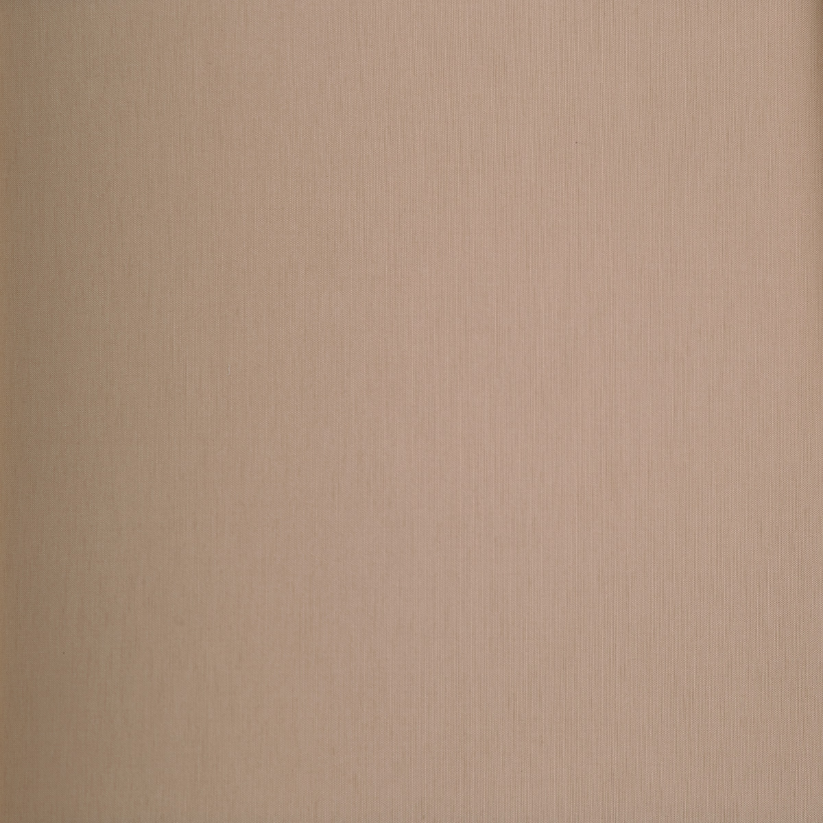 Schirm: Chintz beige