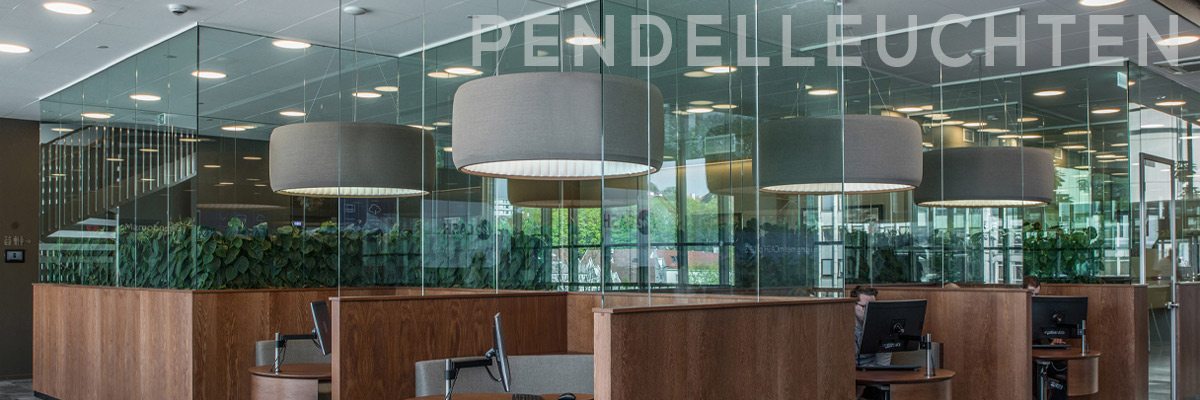 Kategoriebanner gewerbliche Pendelleuchten