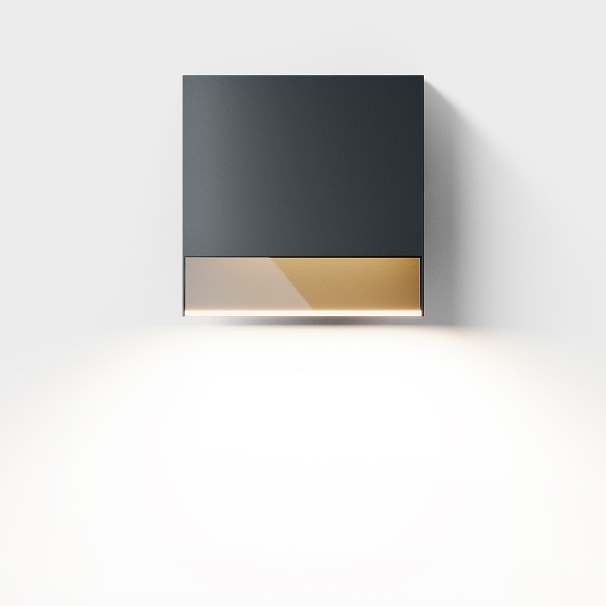 Li.2 LED Außenwandleuchte